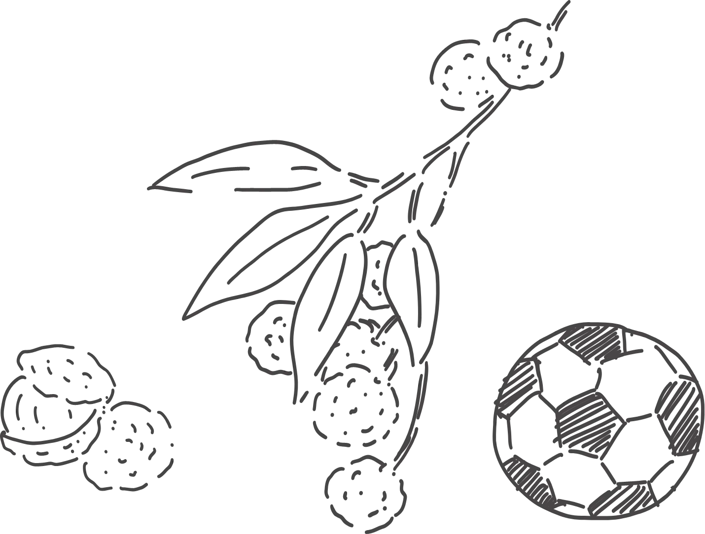 ひなたコンパス プログラムについて