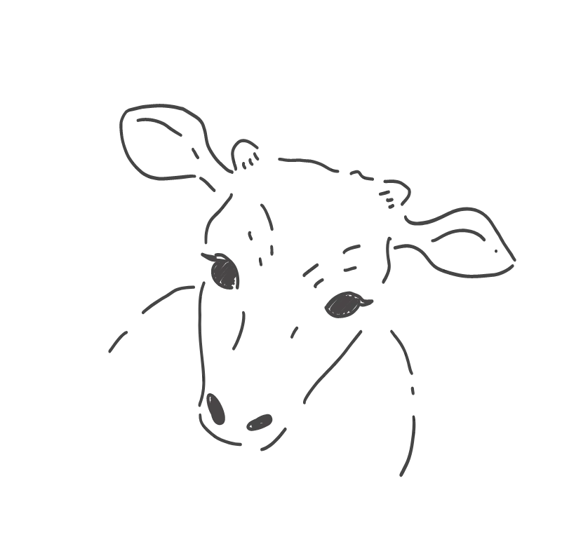 ひなたコンパス 研修プログラム