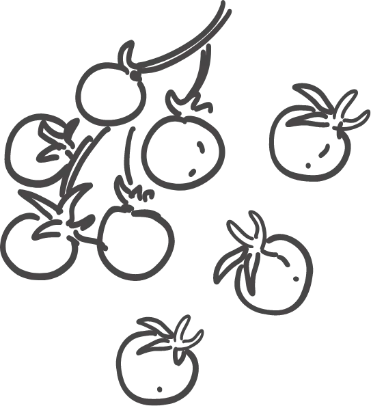 ひなたコンパス 研修プログラム