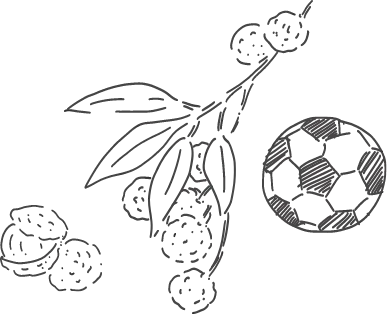 研修プログラム