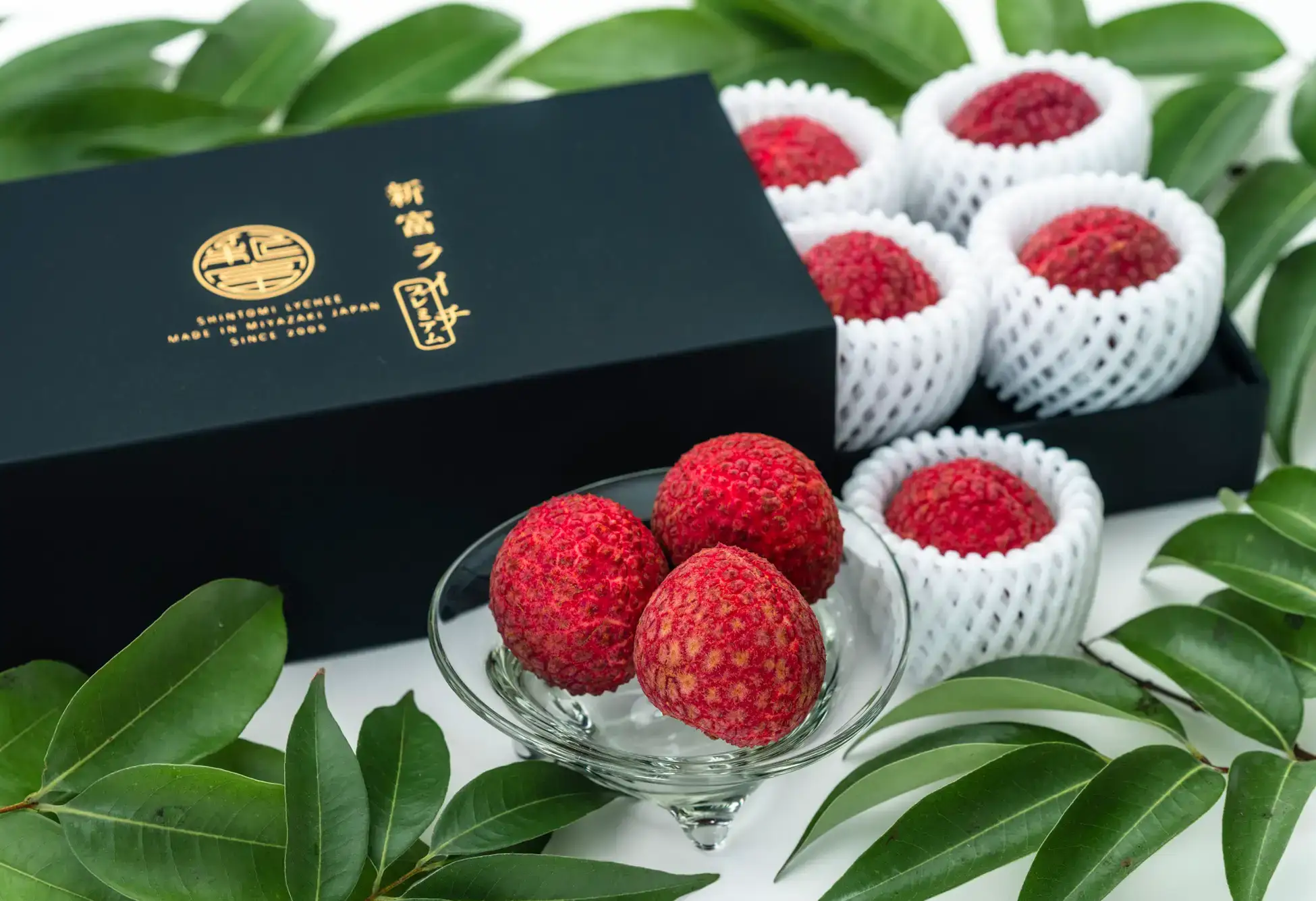 希少な国産「新富ライチ」2024年出荷分が9/1(金)予約受付開始!宮崎県新富町ふるさと納税返礼品として各ポータルサイトで一斉スタート