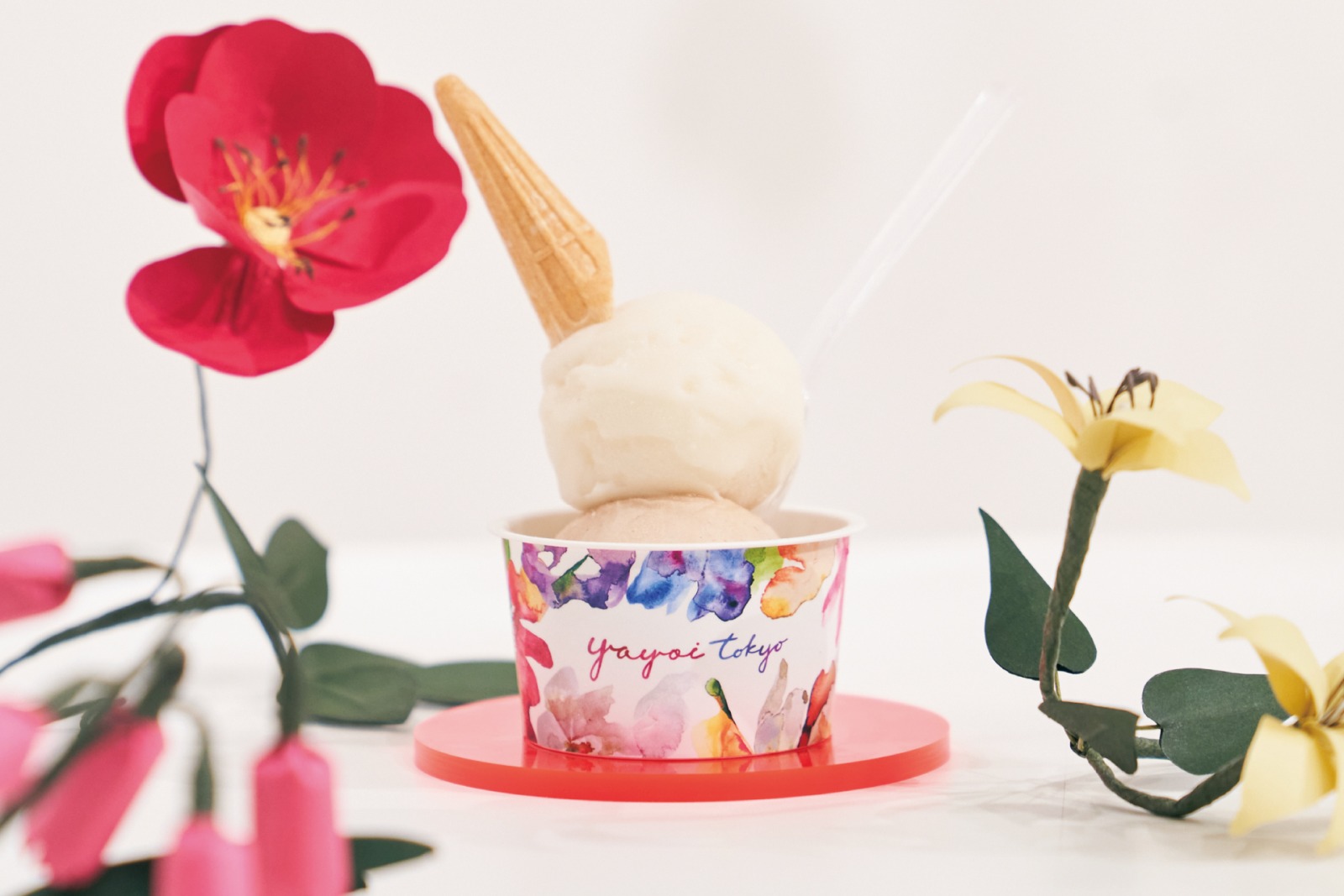 新富ジェラート開発事業